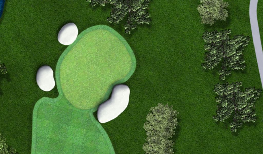 Hole 8 green close-up