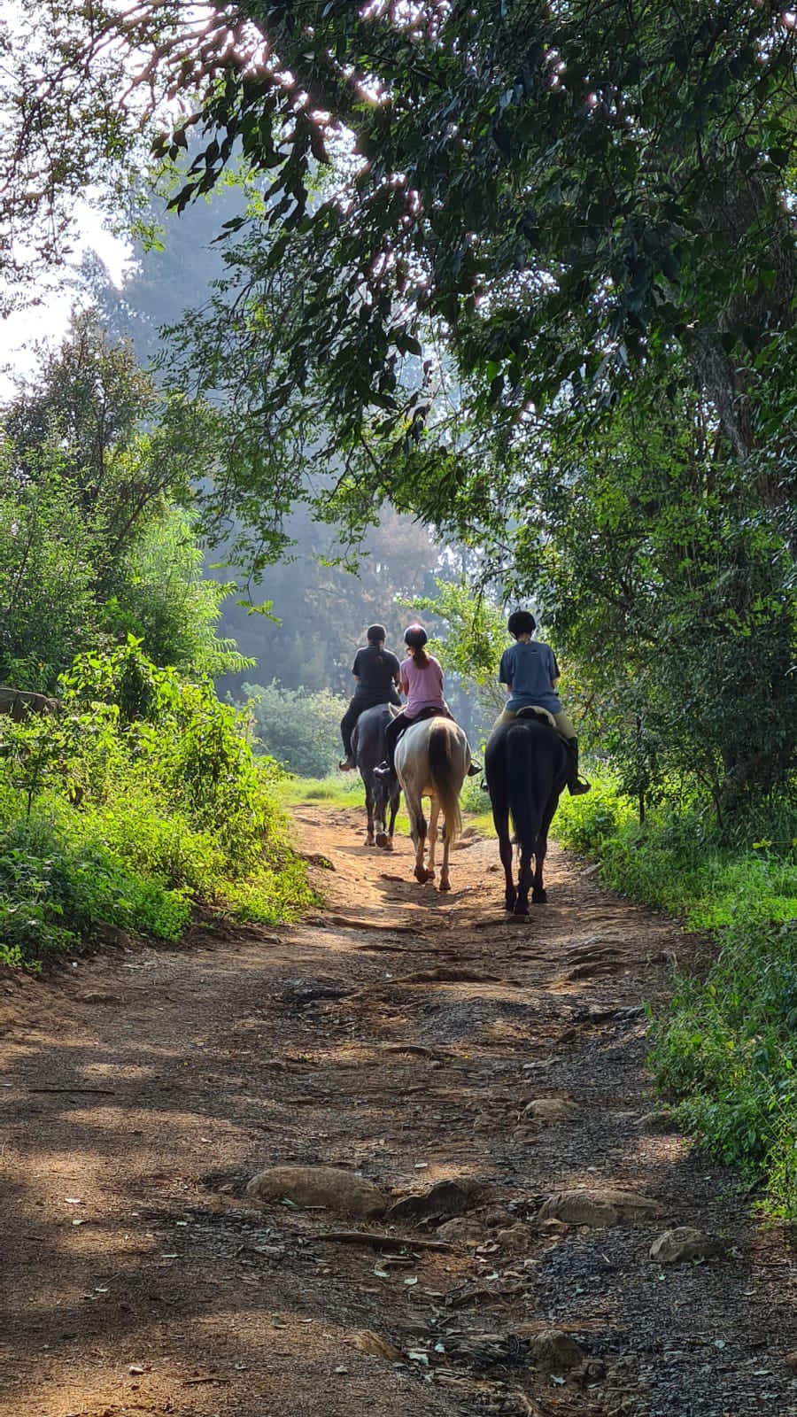Karkloof Horse Adventures